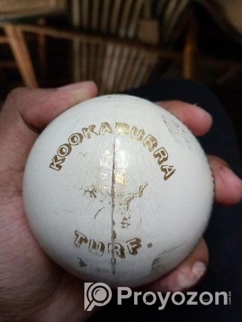 Original Kookaburra Turf International Leather Bal