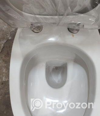 পুরাতন কমোড