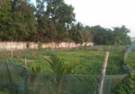 কনকপুরে জমি বিক্রয় হবে