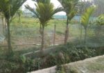কনকপুরে জমি বিক্রয় হবে