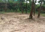 ১৬ শতক আবাসিক জমি বিক্রি হবে