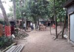 Land For Sale at Savar