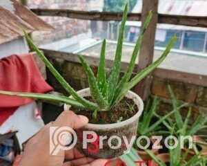 fitted-2025-08-30T224437.887_2025-08-30_22-45-47