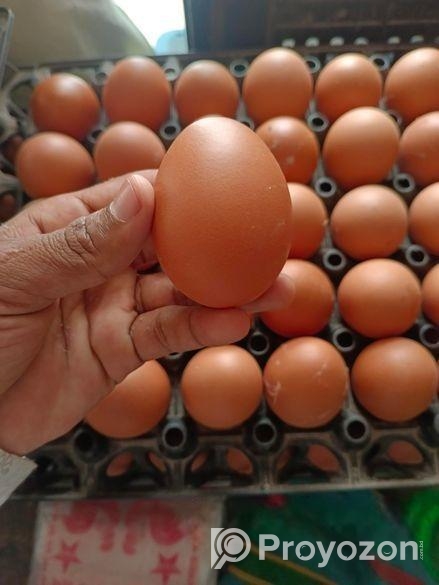 ডিম বিক্রি হবে