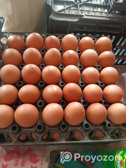 ডিম বিক্রি হবে