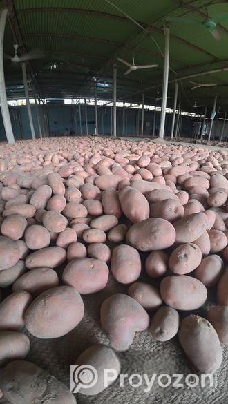 আলু বিক্রয় হবে