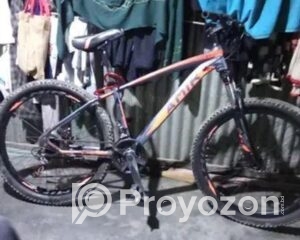 fitted-20_2025-08-20_10-54-00