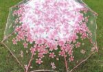 Transparent Umbrella