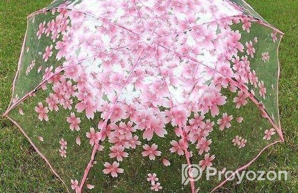 Transparent Umbrella
