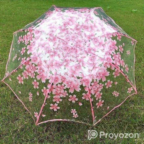 Transparent Umbrella