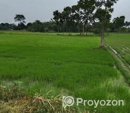 এক দাগে ৩ বিঘা জমি বিক্রয় করা হবে