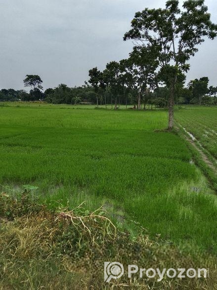 এক দাগে ৩ বিঘা জমি বিক্রয় করা হবে