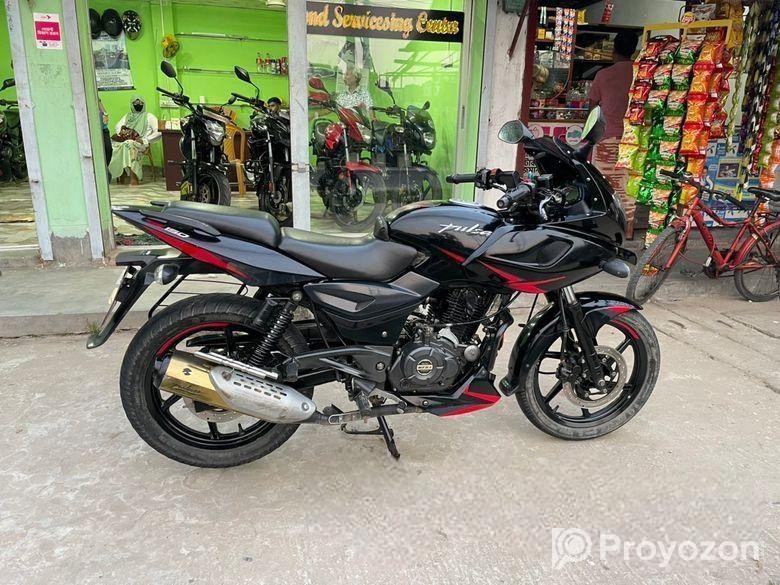 Bajaj Pulsar Dd 2019