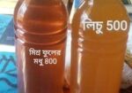 লিচু ফুলের মধু