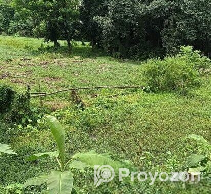 জমির বিক্রয়
