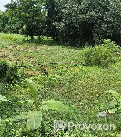 জমির বিক্রয়