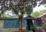 বাড়ি সহ জমি বিক্রি
