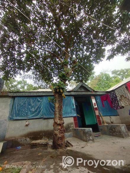 বাড়ি সহ জমি বিক্রি