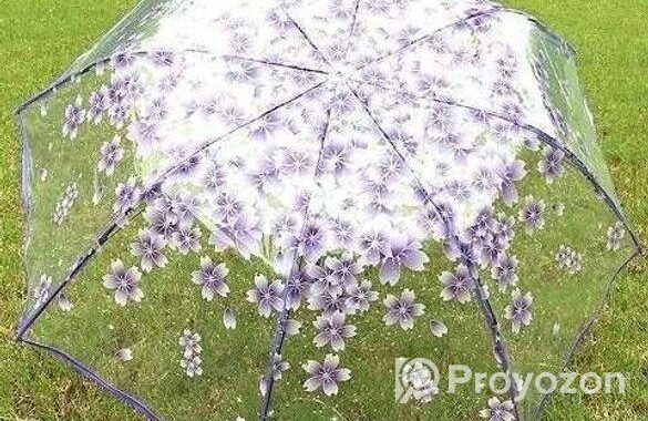 Transparent Umbrella