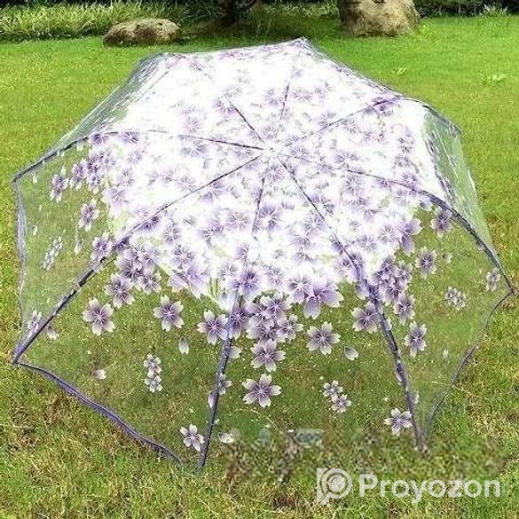 Transparent Umbrella