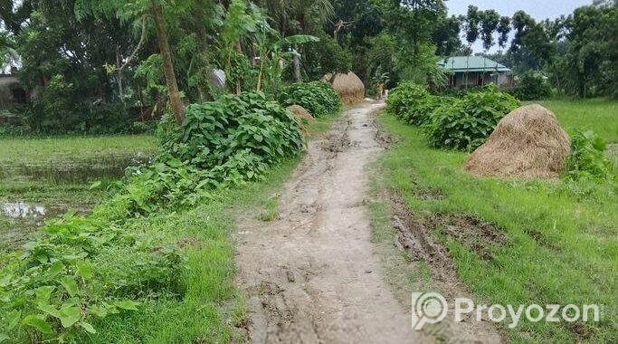 এক দাগে ৩ বিঘা জমি বিক্রয় করা হবে