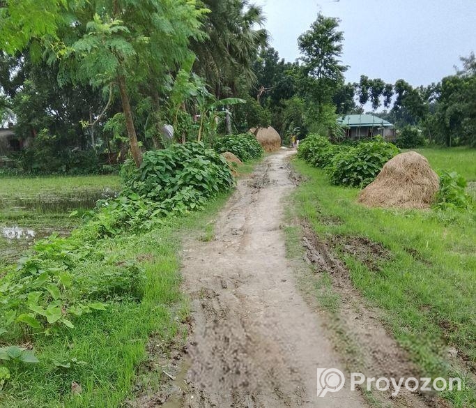 এক দাগে ৩ বিঘা জমি বিক্রয় করা হবে
