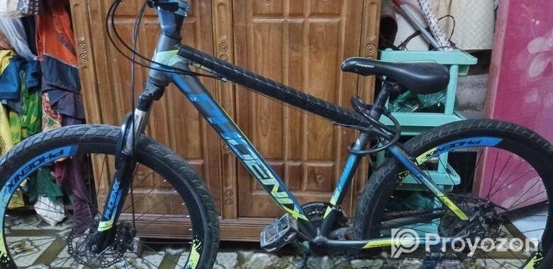 Phoenix kubo Cycle