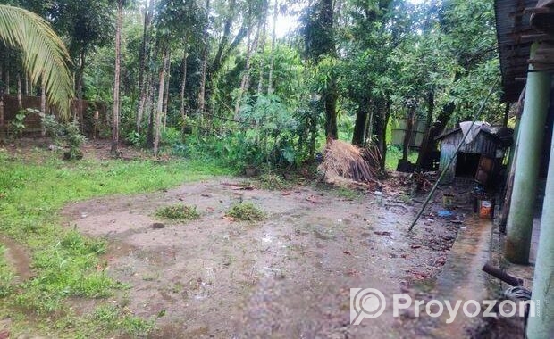 বাড়ির জায়গা বিক্রি