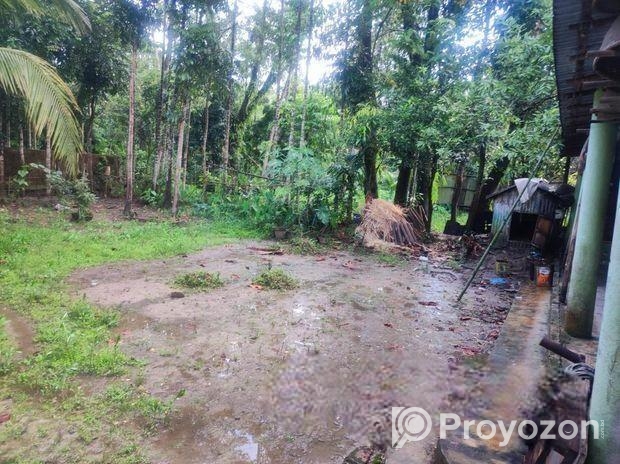 বাড়ির জায়গা বিক্রি