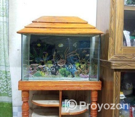 Aquarium (fish tank)