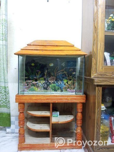 Aquarium (fish tank)