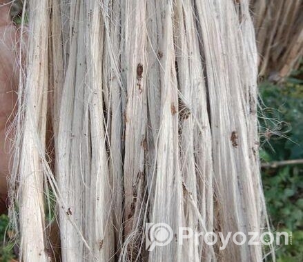 এই পাট বিক্রয় করা হইবে