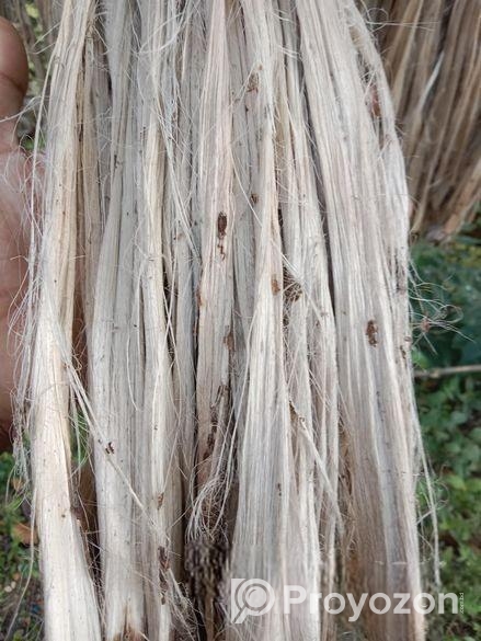 এই পাট বিক্রয় করা হইবে