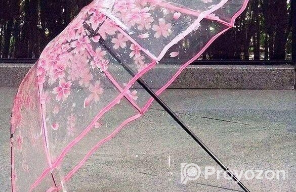 Transparent Umbrella