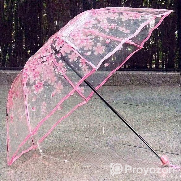 Transparent Umbrella