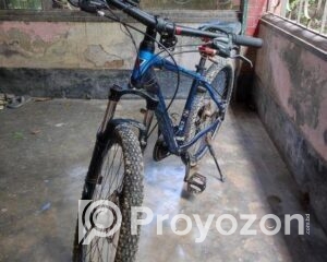 fitted-23_2025-08-02_10-31-36