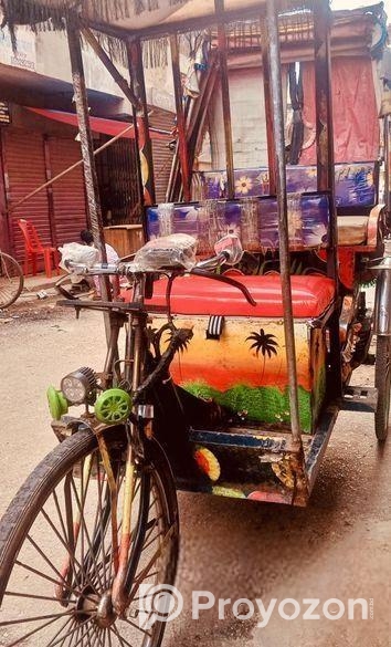 Electric Auto Rickshaw