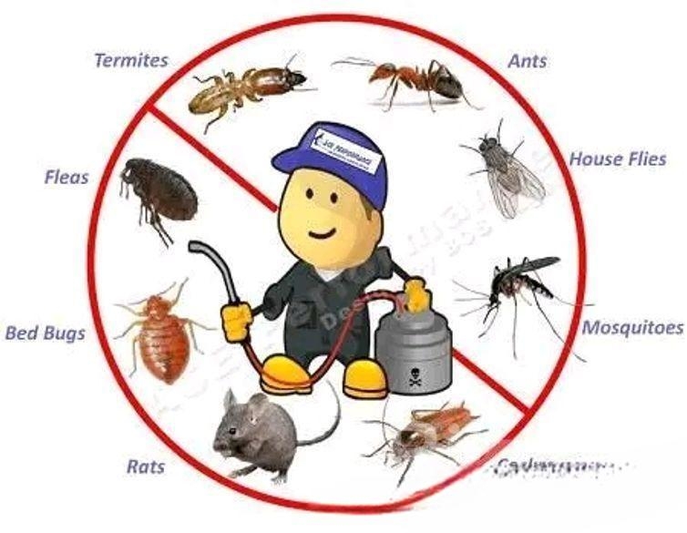 পেস্ট কন্ট্রল এবং ক্লিনিং সার্ভিস