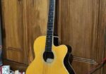 TGM acoustic guitar