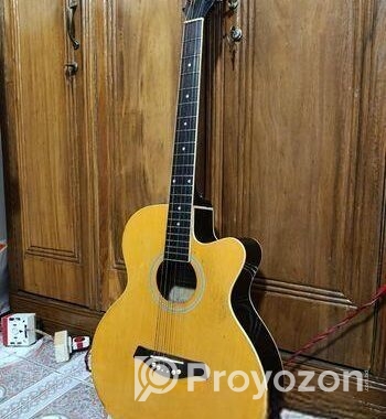 TGM acoustic guitar
