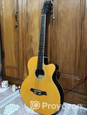 TGM acoustic guitar