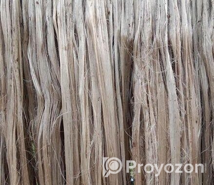 এই পাট বিক্রয় করা হইবে