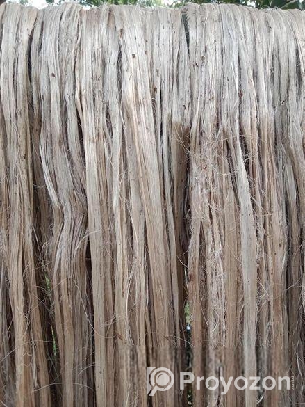 এই পাট বিক্রয় করা হইবে