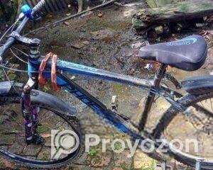 fitted-23_2025-08-24_09-34-20