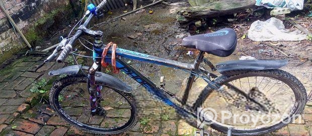 সাইকেলটি বিক্র করা হবে একদম ফ্রেশ