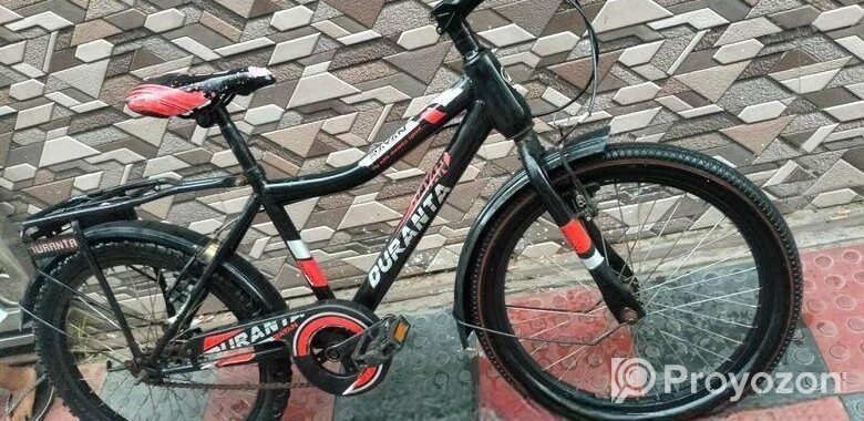 Duranta Bicycle for sale