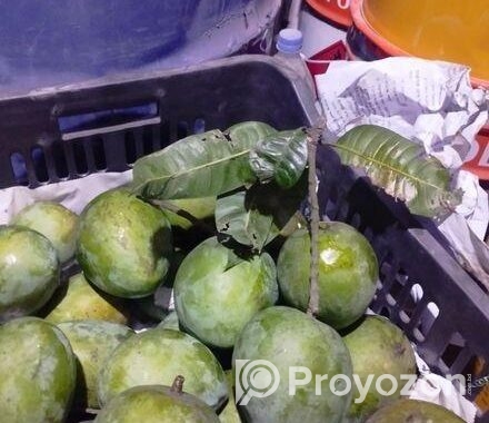 রংপুরের হাড়িভাঙ্গা আম