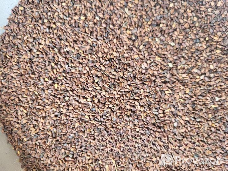 এটা হলো তিল