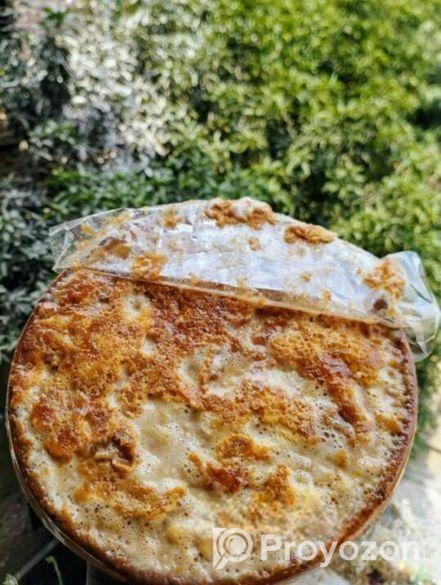 ঐতিহ্যবাহী বগুড়ার সরা দই