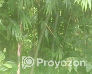 fitted-24_2025-08-24_09-50-33